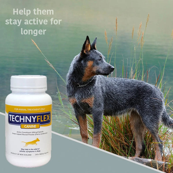 Technyflex Canine 500mg 240 Capsules