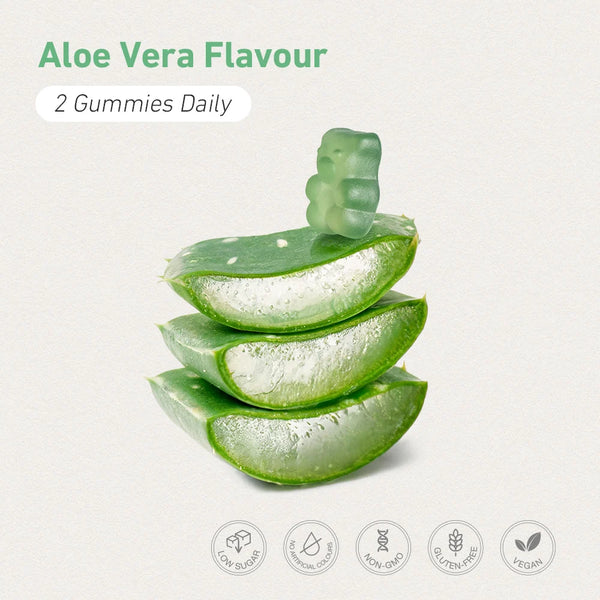 Unichi Teddi Lab Aloevate Gummy 60 Gummies