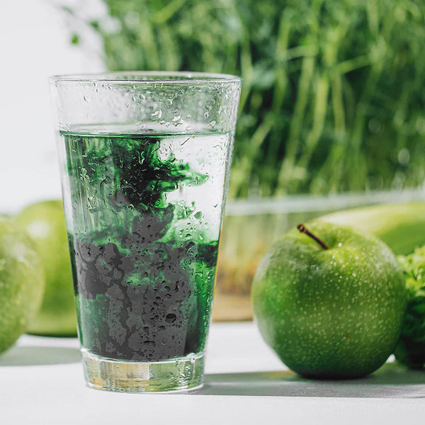 Nature's Sunshine Liquid Chlorophyll 473ml