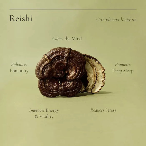 SuperFeast Reishi 1KG