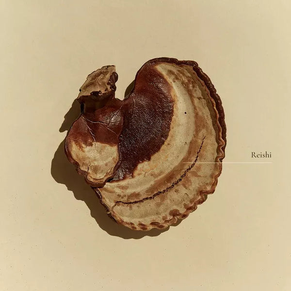 SuperFeast Reishi 1KG