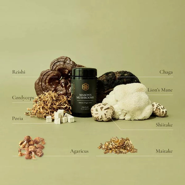 SuperFeast Mason's Mushrooms 100g Immune & Gut Tonic